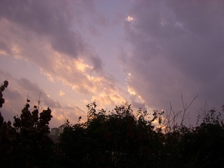 CF424555-EC7F-49C1-A58A-19B37C784F84/L0/001