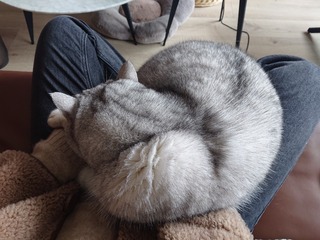 74337