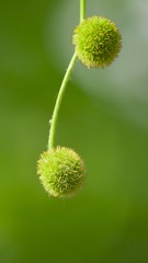 635852
