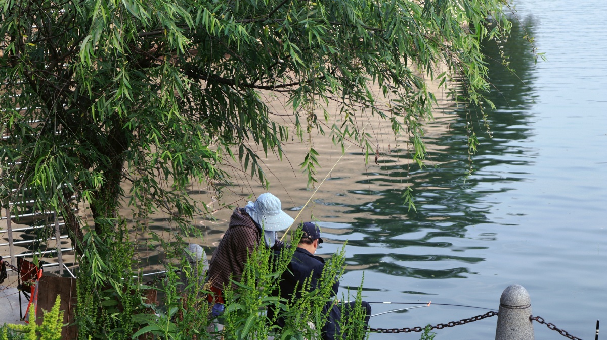 夏日湖畔二人垂钓