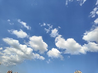 1000032540