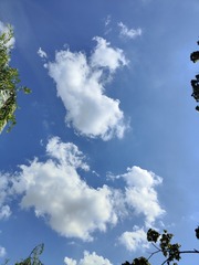 1000032524