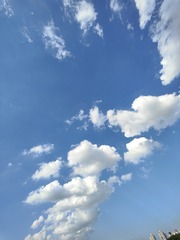 1000032544