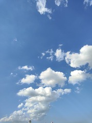 1000032542