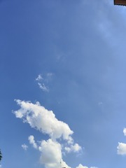 1000032513