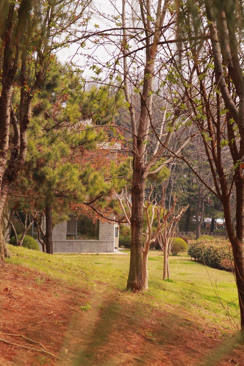 公园里的小角落处处都有美好