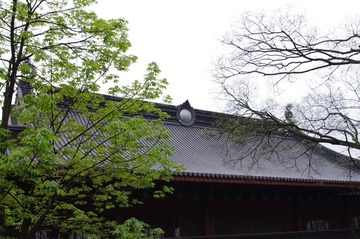 《庙顶》