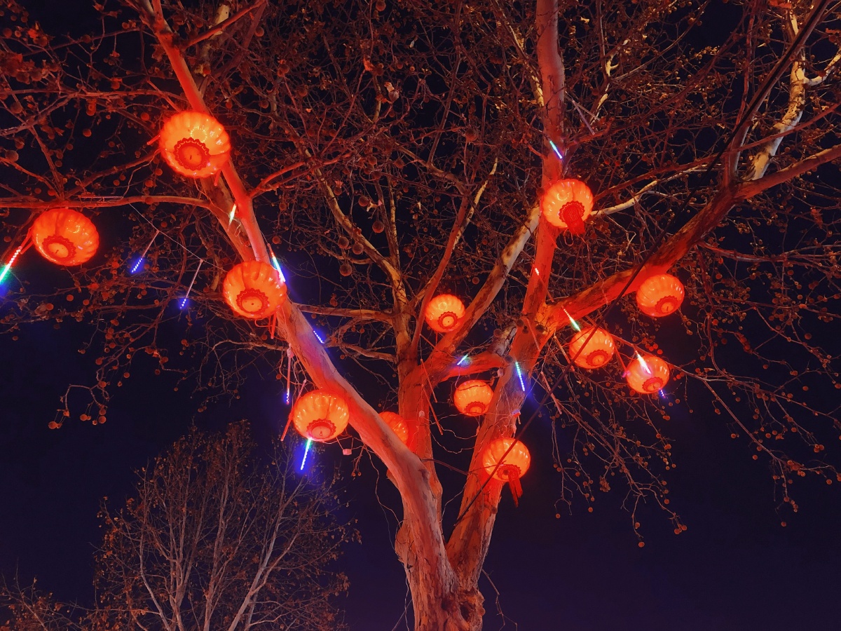 晚上 和家人一起在街边散步,快过年了,街道两旁都挂满了红灯笼,我们一