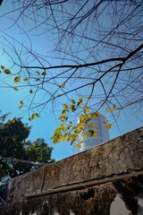 5DF024D5-A354-41D4-8C72-A9BF5B7B3FB5/L0/001