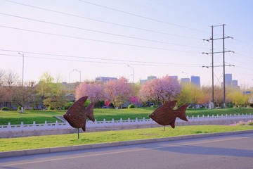 EF905677-5FF6-4941-A33F-53C76E987ABD/L0/001