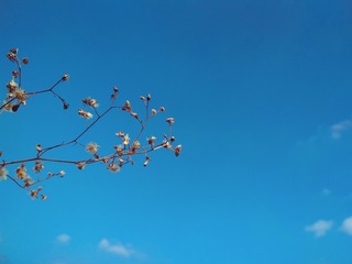 34565