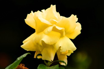D83A30A3-3771-4718-BA39-00AC524CA7B9/L0/001