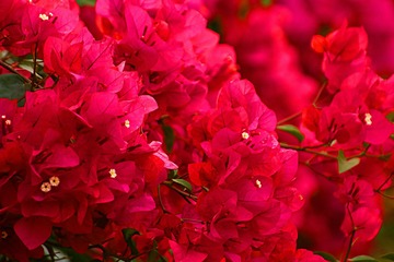 E93724B6-C4EC-48B0-AA58-64AF8F59F432/L0/001