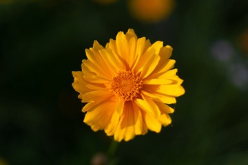 1000018152
