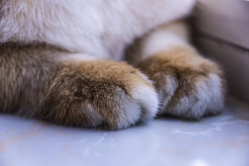10662