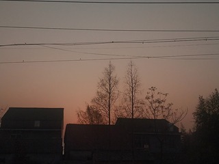 236185