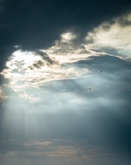 08B32813-45FF-438F-8752-D692CA316163/L0/001