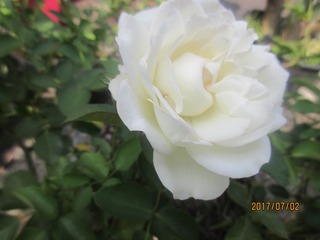 E22F5D47-25B2-41DF-BD0F-B23A6875443C/L0/001