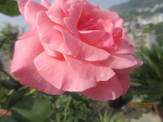 5C6594C7-038F-4D87-BEE7-66E9EA0AE37F/L0/001