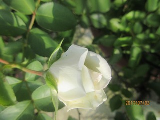 49F73261-CEC5-47AF-8297-6A5FE97A3B9A/L0/001