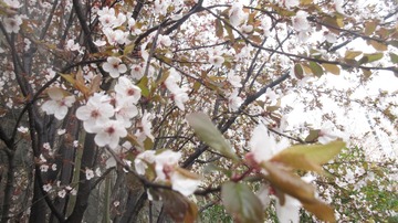 3DFC8FD1-CB0F-4879-8D44-B725879654A2/L0/001