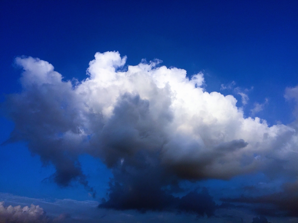 云儿异常的美,仿佛是一朵在空中绽放的洁白莲花!