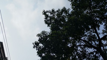 846066
