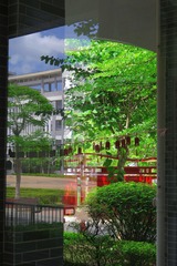 17B64B62-1137-4DD7-B9CE-C585E97C790A/L0/001