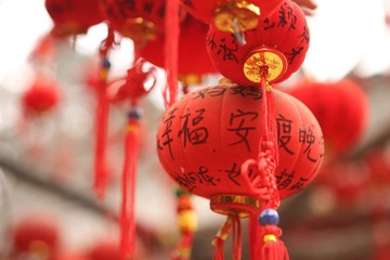 许愿树