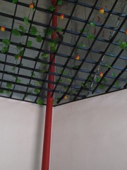 286817