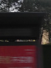 147576