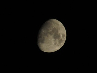 5E997C0E-ECB7-4754-B133-54FF5D942D83/L0/001
