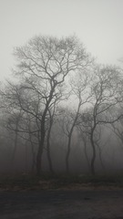 566178