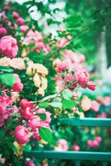94197DE4-1E63-4BB3-B95C-DB023837CD88/L0/001
