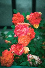 80C4AC9B-1BE3-41ED-92E1-3A729FD05C9F/L0/001
