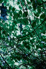 75235758-6D90-45B5-B7B9-3F6209EB3014/L0/001