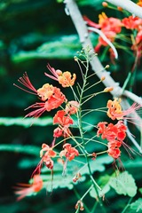 CB1C82F3-D7FA-4D1B-8A7B-AE3CE2CB5708/L0/001