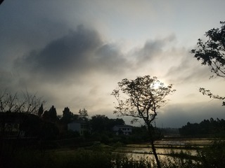 151319