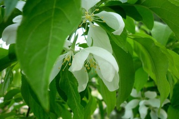 P1120844