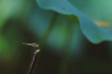 140508