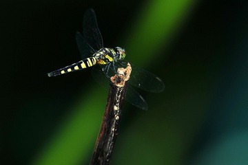 140540