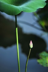 140334