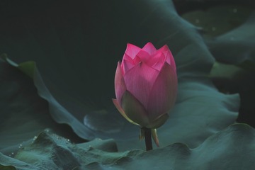 139104