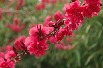 3CA4EAEC-E56F-4354-89EF-B83D81AAB4CD/L0/001