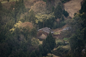 _7NN3208-已增强-NR 拷贝