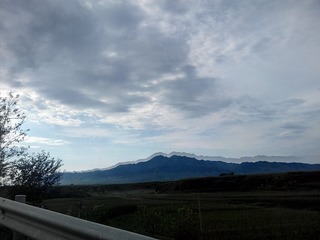4945335