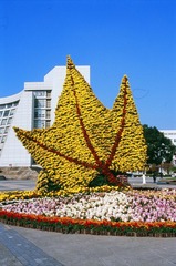Untitled-6.jpg
