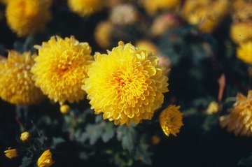 Untitled-9.jpg
