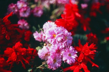 Untitled-10.jpg