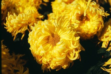 Untitled-11.jpg